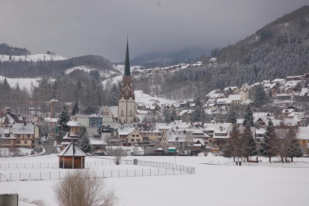 Parkhotel Sonne Schönau im Schwarzwald Exteriör bild